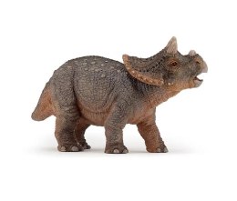 Triceratops młody