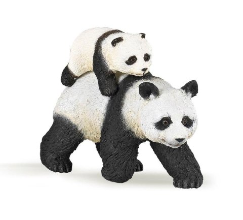 Panda z młodym Panda z młodym
