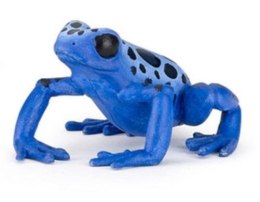Żaba równikowa niebieska