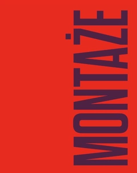 Montaże. Debora Vogel i nowa legenda miasta Montaże. Debora Vogel i nowa legenda miasta