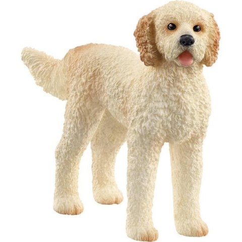 Goldendoodle Goldendoodle