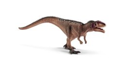 Młody Giganotosaurus