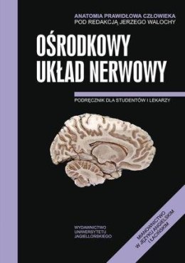 Anatomia prawidłowa człowieka. Ośrodkowy ukł. ner.