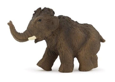Mamut młody Mamut młody