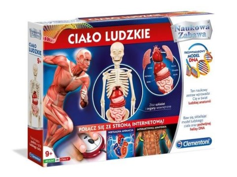 Naukowa zabawa. Ciało ludzkie Naukowa zabawa. Ciało ludzkie