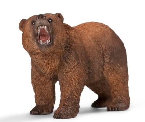 Niedźwiedź grizzly Wild Life Niedźwiedź grizzly Wild Life