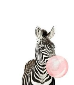 Malowanie po numerach - Zebra huba-booba 40x50cm
