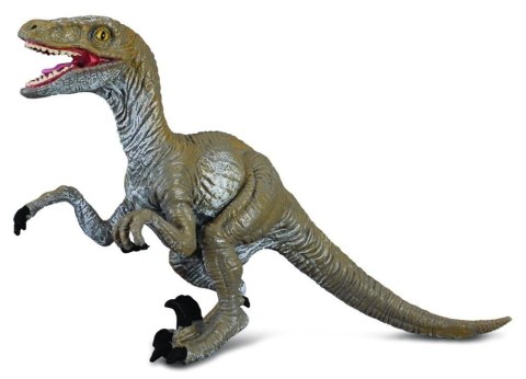 Dinozaur Velociraptor
