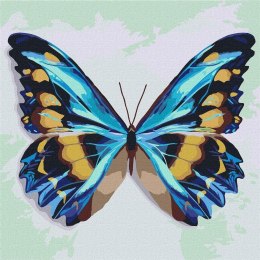 Malowanie po numerach - Błękitny motyl 25x25cm