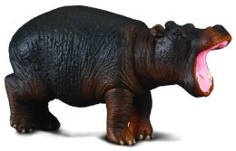 Hipopotam młody