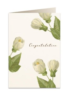 Karnet B6 + koperta 6027 Gratulacje kwiaty