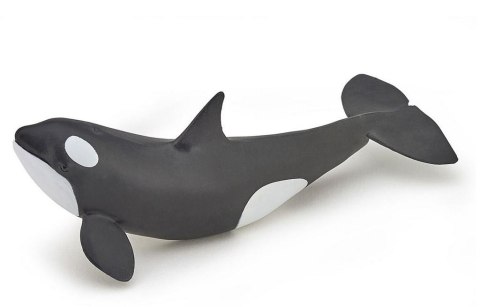 Orka Orka