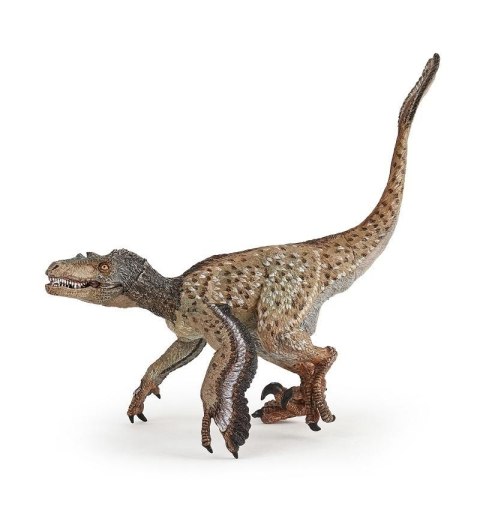 Velociraptor pierzasty Velociraptor pierzasty