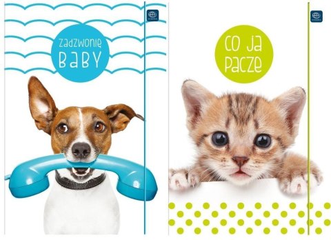 Teczka z gumką A4+ LUX UV Puppy Sign (10szt) Teczka z gumką A4+ LUX UV Puppy Sign (10szt)