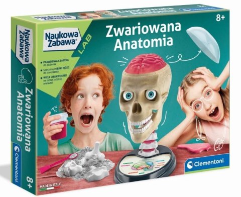Naukowa zabawa. Zwariowana Anatomia Naukowa zabawa. Zwariowana Anatomia