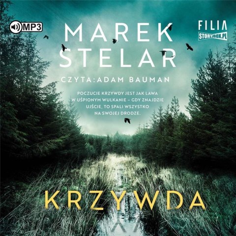 Krzywda audiobook