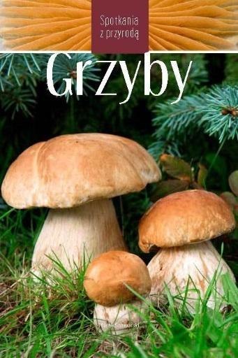 Grzyby. Spotkania z przyrodą