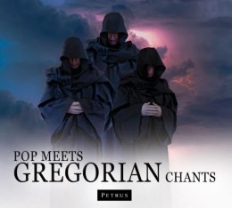 Pop Meets Gregorian Chants audiobook