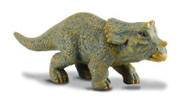 Dinozaur młody Triceratopis