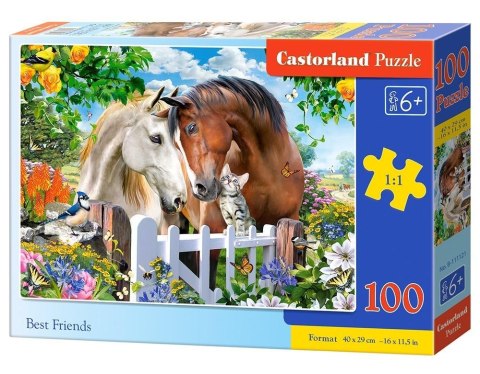 Puzzle 100 Best Friends CASTOR Puzzle 100 Best Friends CASTOR