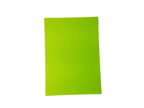 Papier ksero REXUS A4 100ark. Neonowy kolor mix Papier ksero REXUS A4 100ark. Neonowy kolor mix