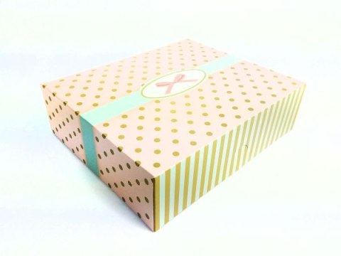 Pudełka na ciasta BENIAMIN 245 x 210 x 70 mm / 5szt. - Kropki Pudełka na ciasta BENIAMIN 245 x 210 x 70 mm / 5szt. - Kropki