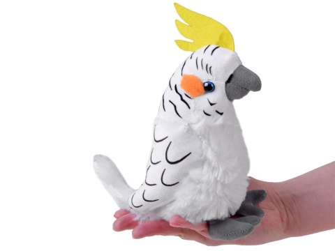 Maskotka Papuga biała nimfa 17cm 13574 Maskotka Papuga biała nimfa 17cm 13574