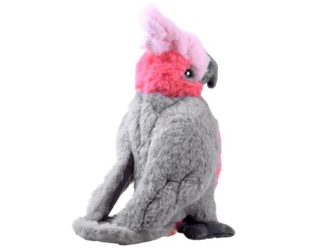 Maskotka pluszowa papuga różowa Kakadu 22cm 13841 Maskotka pluszowa papuga różowa Kakadu 22cm 13841