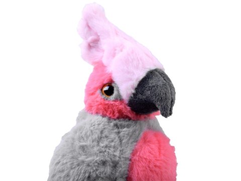 Maskotka pluszowa papuga różowa Kakadu 22cm 13841 Maskotka pluszowa papuga różowa Kakadu 22cm 13841