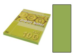 Papier ksero kolorowy A4 100k. KRESKA jasnozielony (jk)