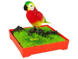 Śpiewająca Kolorowa Papuga Z Klatką
