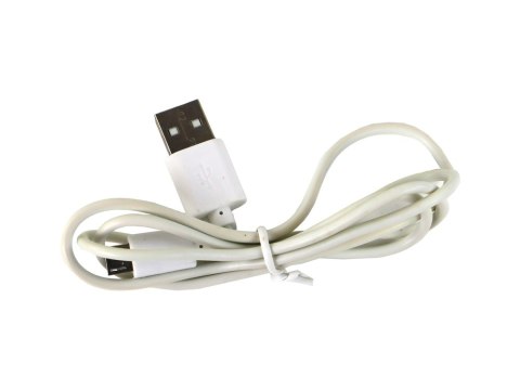 Lampka Jajko Dinozaur Pterozaur LED Micro USB Lampka Jajko Dinozaur Pterozaur LED Micro USB