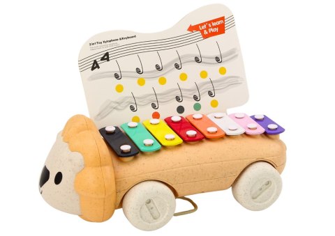 Cymbałki Lew Na Kółkach Instrument Dla Dzieci Kolorowe Edukacyjne Cymbałki Lew Na Kółkach Instrument Dla Dzieci Kolorowe Edukacyjne
