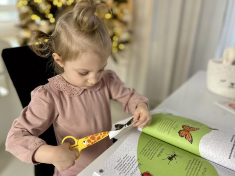Kapitan Nauka Elementarz malucha 2-3 lat Montessori łamigłówki KS1016 Kapitan Nauka Elementarz malucha 2-3 lat Montessori łamigłówki KS1016