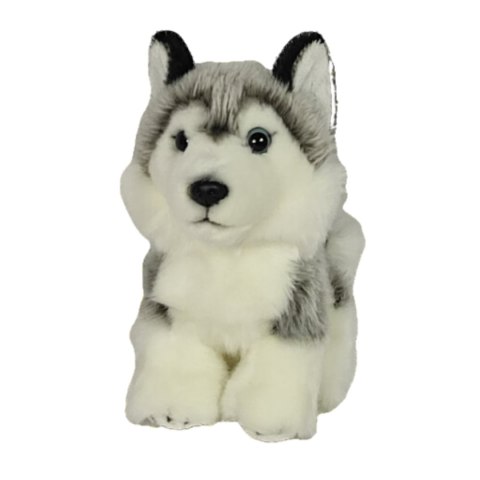 Maskotka Pies Husky Biało-Szary Pluszak 19cm Miękka Przytulanka Miś Piesek Maskotka Pies Husky Biało-Szary Pluszak 19cm Miękka Przytulanka Miś Piesek