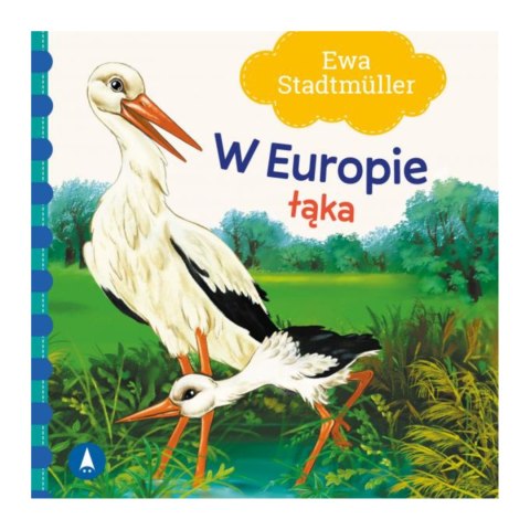 TW W EUROPIE. ŁĄKA TW W EUROPIE. ŁĄKA