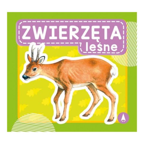 ZWIERZĘTA LEŚNE ZWIERZĘTA LEŚNE
