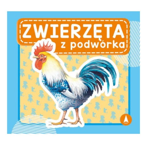 ZWIERZĘTA Z PODWÓRKA ZWIERZĘTA Z PODWÓRKA