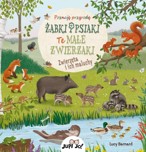Żabki i psiaki. Te małe zwierzaki. Żabki i psiaki. Te małe zwierzaki.