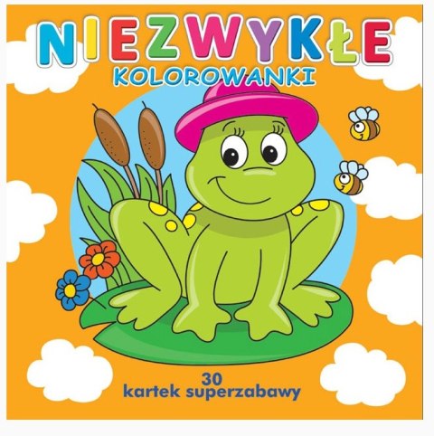 Niezwykłe kolorowanki (30 kartek superzabawy) Niezwykłe kolorowanki (30 kartek superzabawy)