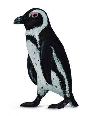 COLLECTA PINGWIN PRZYLĄDKOWY