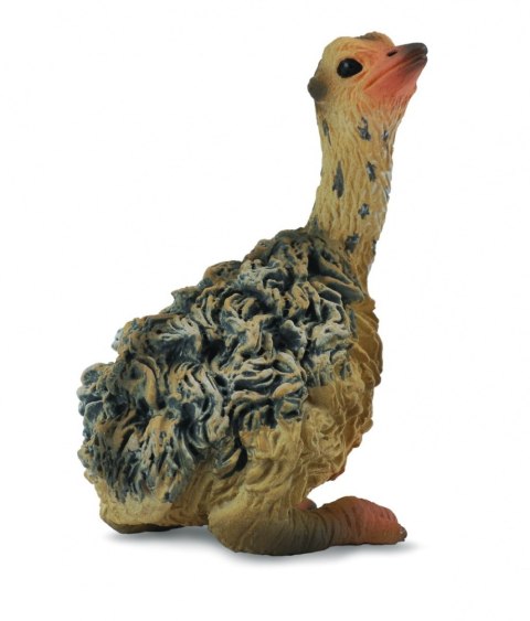 COLLECTA STRUŚ MŁODY SIEDZĄCY COLLECTA STRUŚ MŁODY SIEDZĄCY