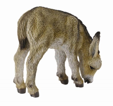 COLLECTA ŹREBIE OSŁA PASĄCE SIĘ COLLECTA ŹREBIE OSŁA PASĄCE SIĘ