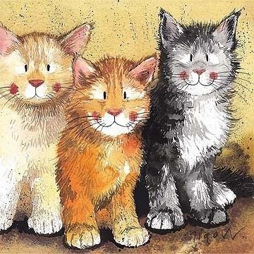 Karnet AC323 Koty Rodger, Dodger i Tinkerbell Karnet AC323 Koty Rodger, Dodger i Tinkerbell