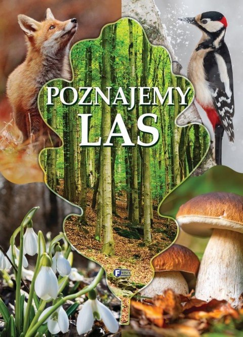 Poznajemy las Poznajemy las