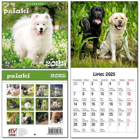 Kalendarz 2025 dla dzieci 16x32 13 plansz Psiaki Kalendarz 2025 dla dzieci 16x32 13 plansz Psiaki