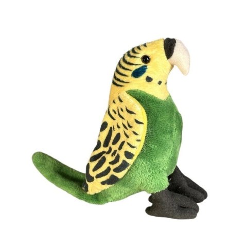 Papuga falista 16cm Papuga falista 16cm