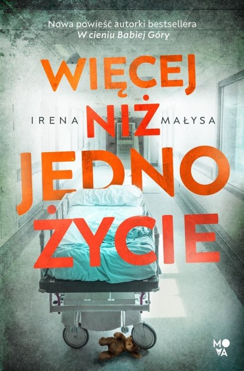 Więcej niż jedno życie Więcej niż jedno życie