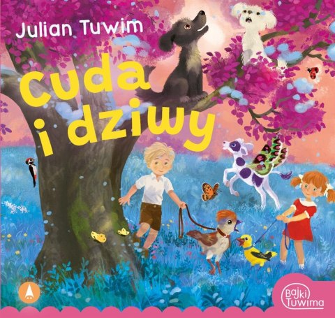 Cuda i dziwy Cuda i dziwy