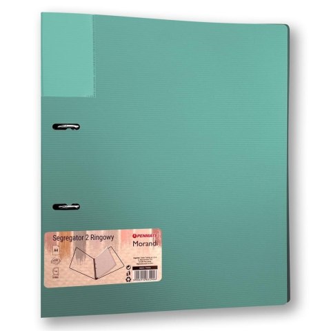 Segregator A4/2 35mm Morandi nieb-zielony PENMATE Segregator A4/2 35mm Morandi nieb-zielony PENMATE